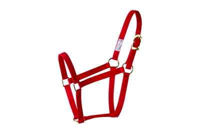 1" PP HALTER-500-800LBS-RED